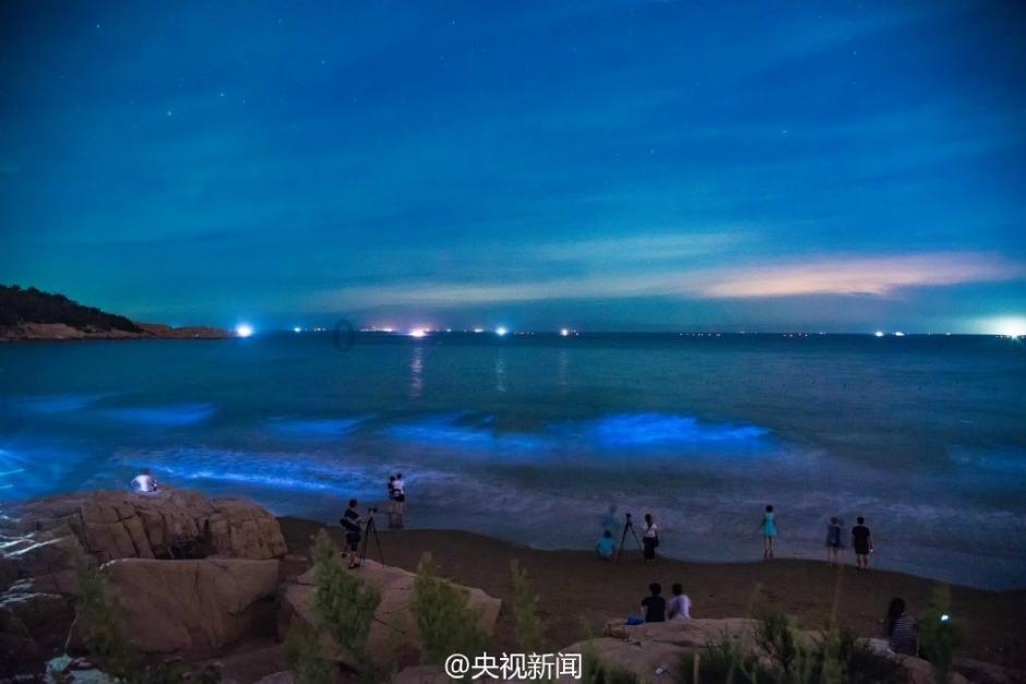 燃烧吧大脑装瓶子游戏