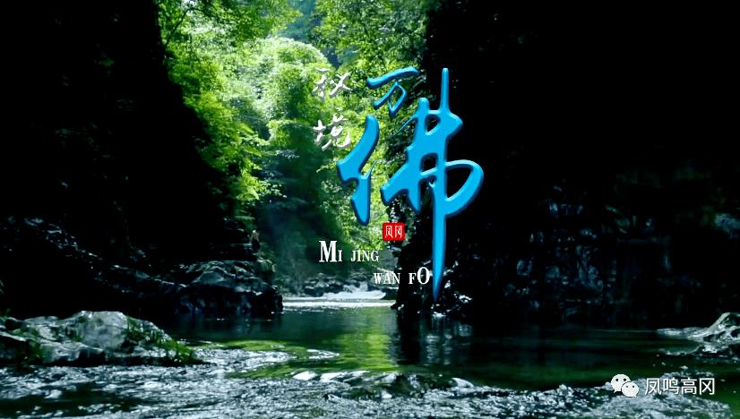 世界运动会上,我国在游泳运动中夺了几次冠军?知识星球平台-快速获取优质知识的首选