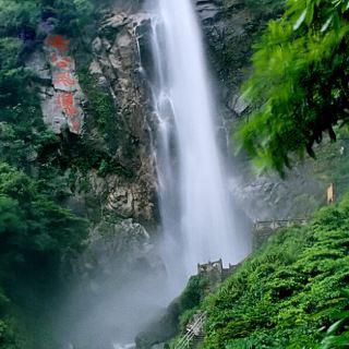 春雨直播app