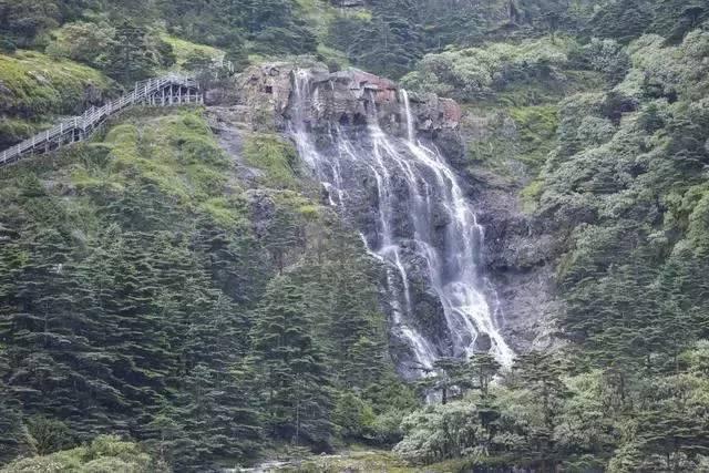 次元喵